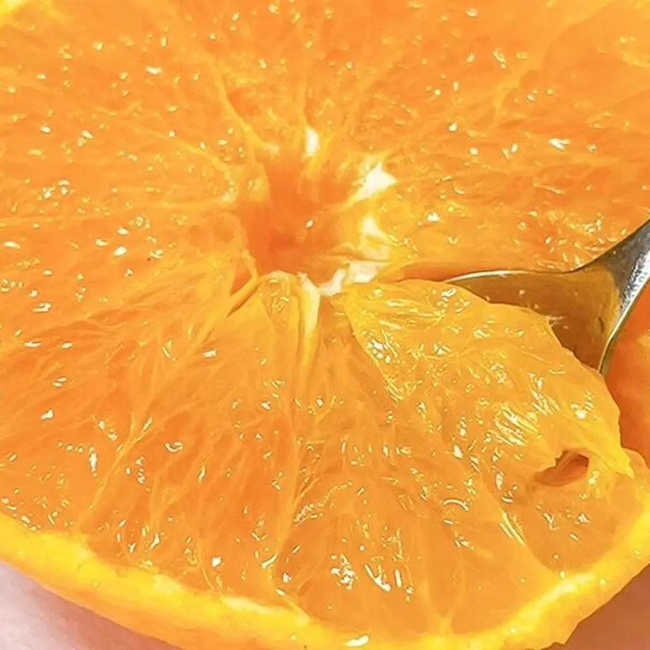 617bf8173303783ee5c4dca0