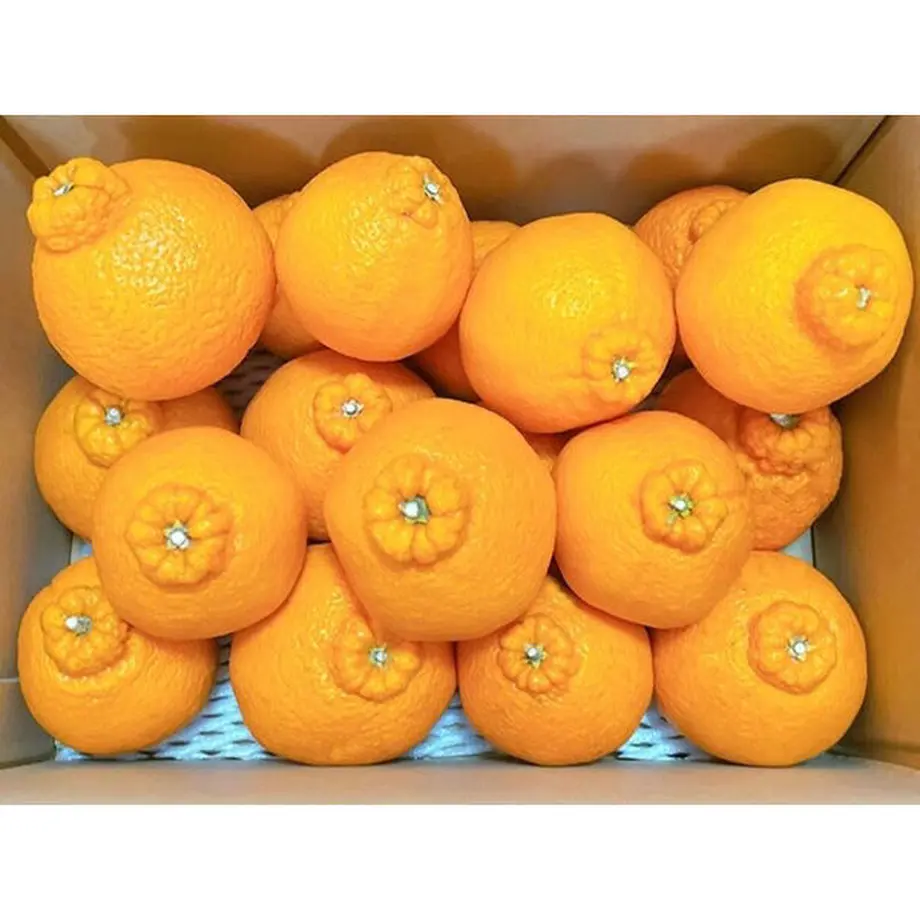603b2e0d6e84d57c54293ce3