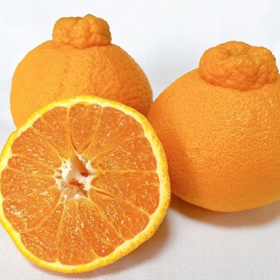 603b2e0d6e84d57c54293ce3