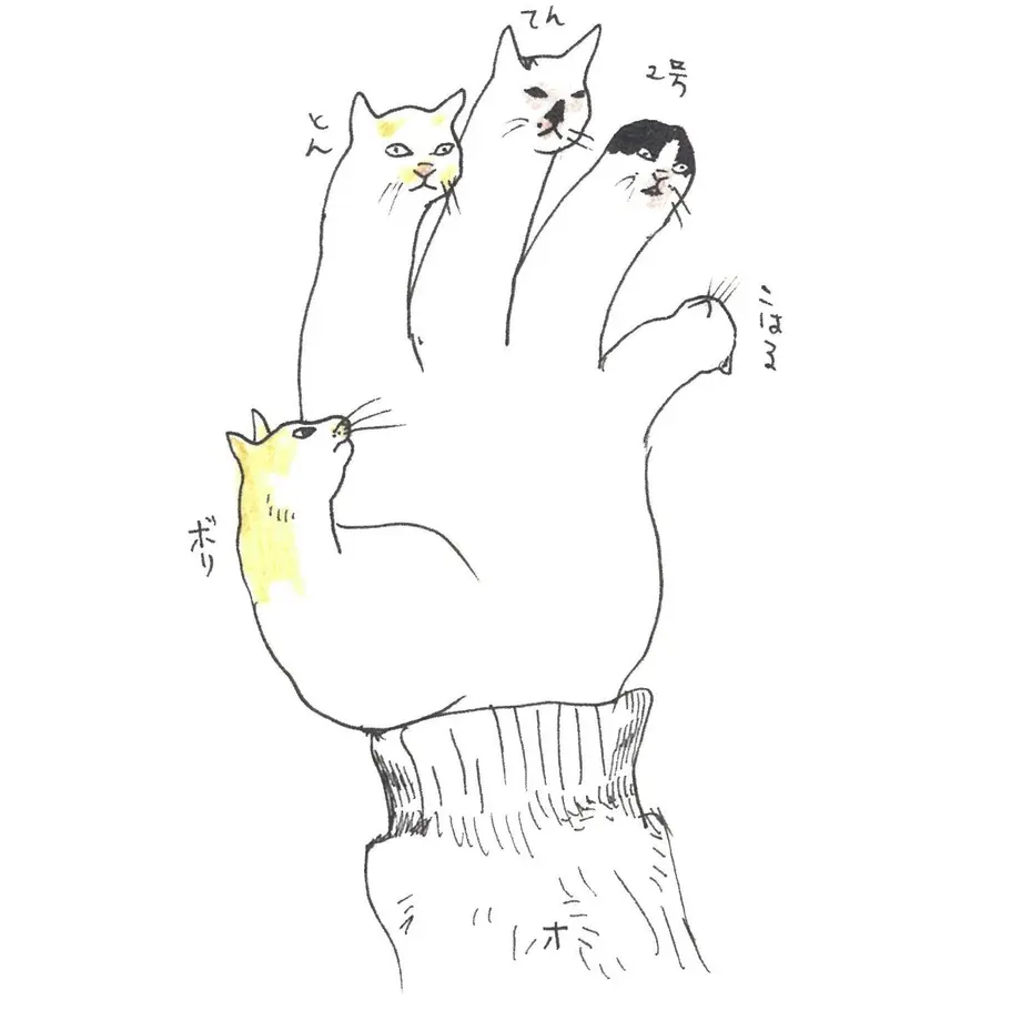 57b3137c1003153344002c59