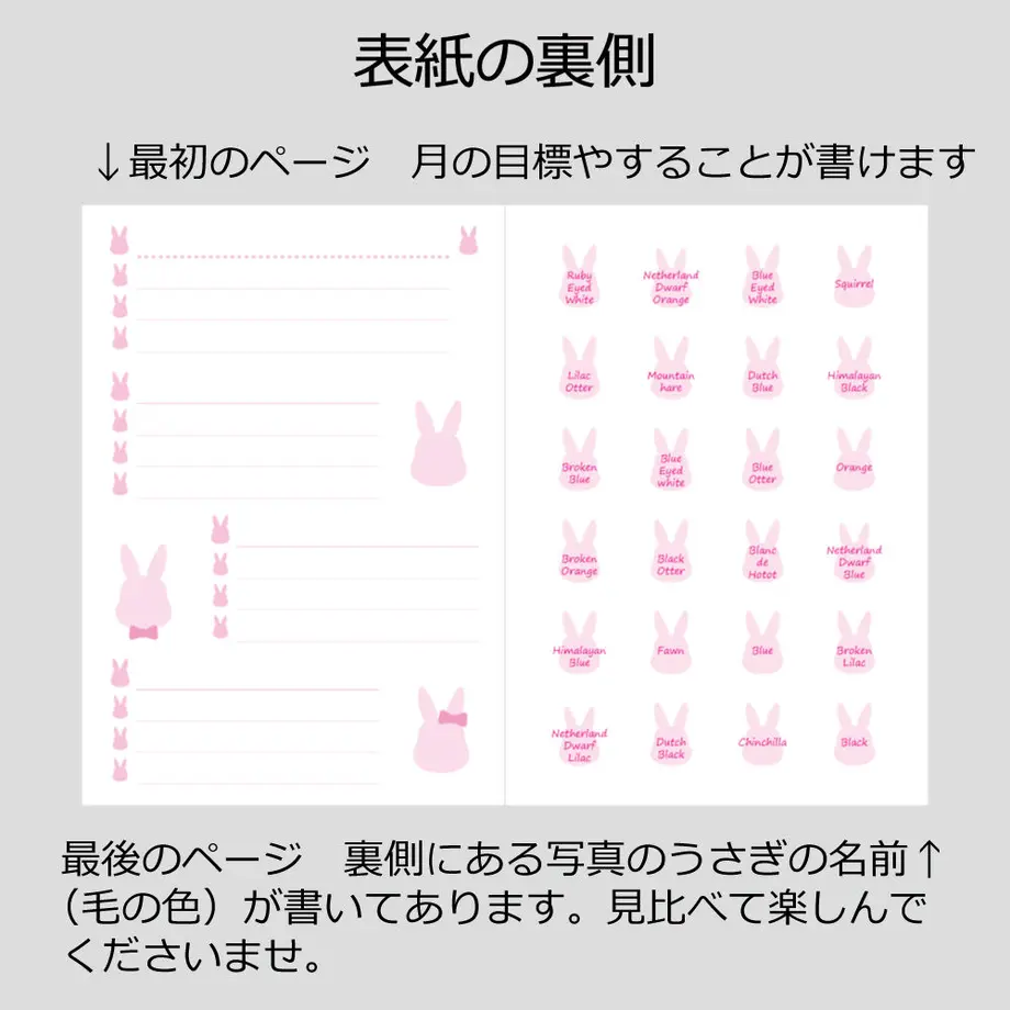 6011339f6e84d55d3a04ac3d