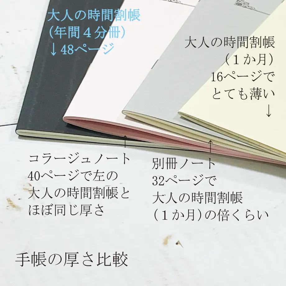 62f9c4e92fc8813b48781242