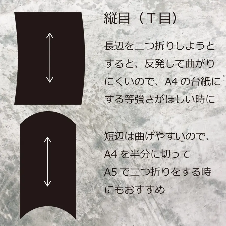 5fbcdcf48a45721a3fbd13a5