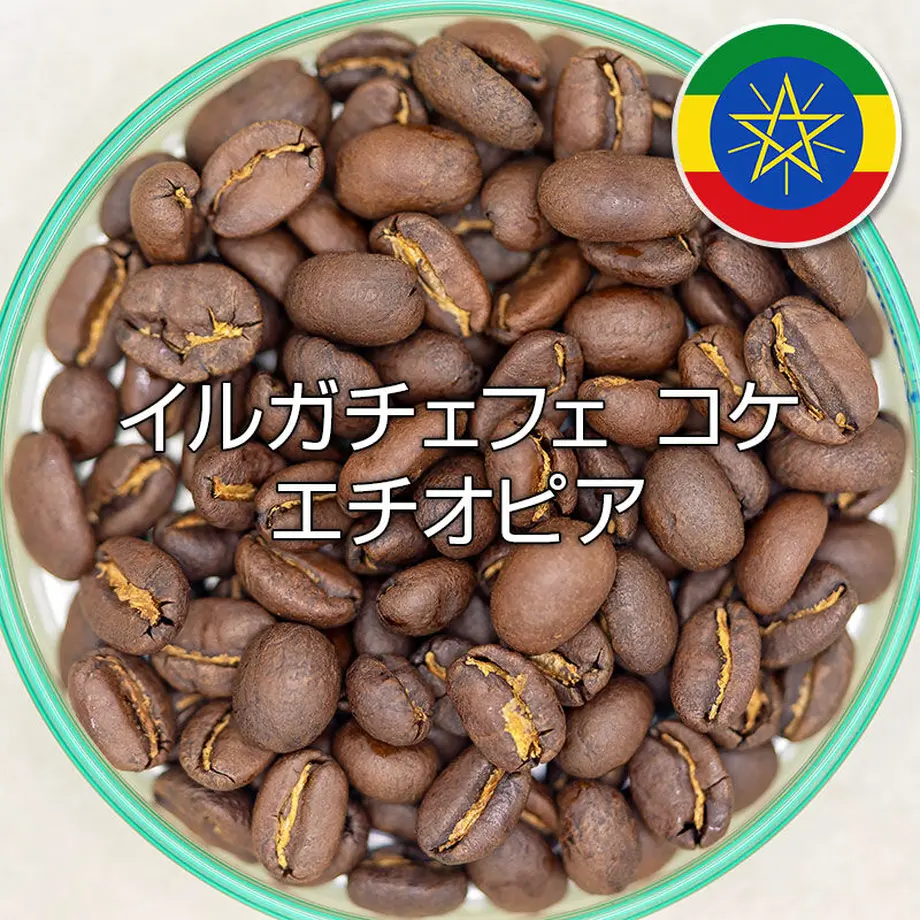 613586fa2305575a63812a3c