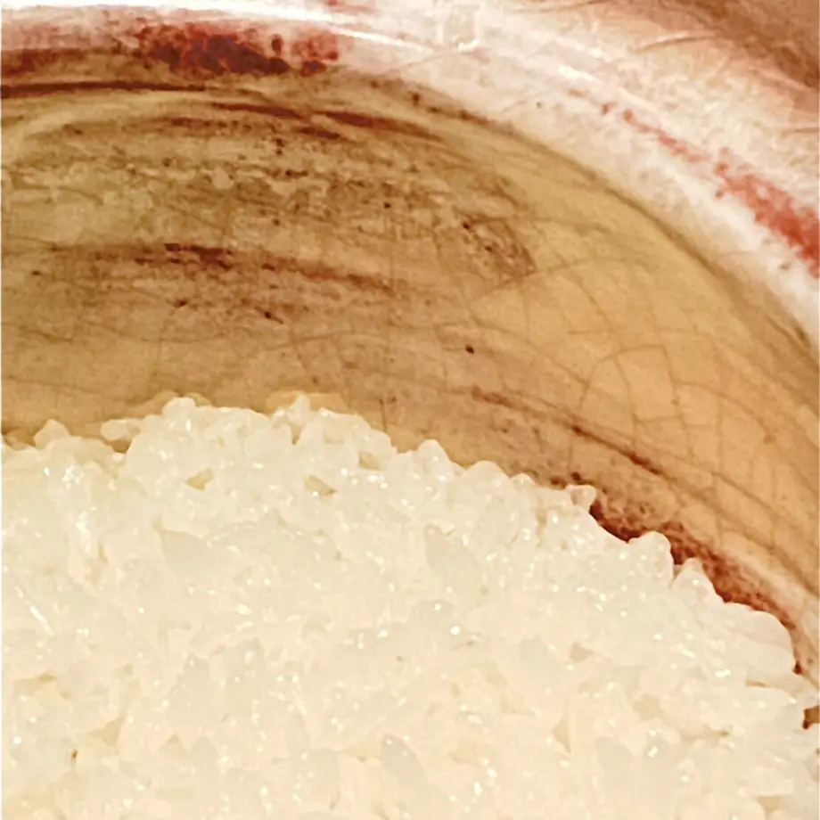 61454f61c12096520329eecb