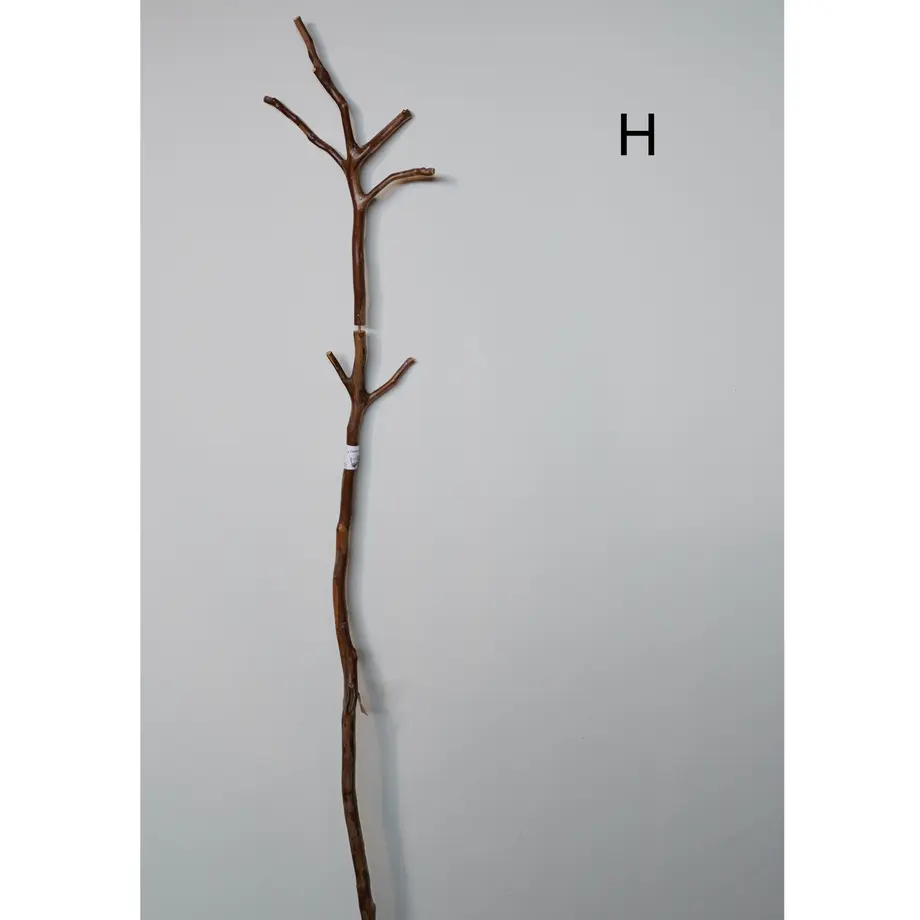 5dcbd51f47fb44761f9671e4