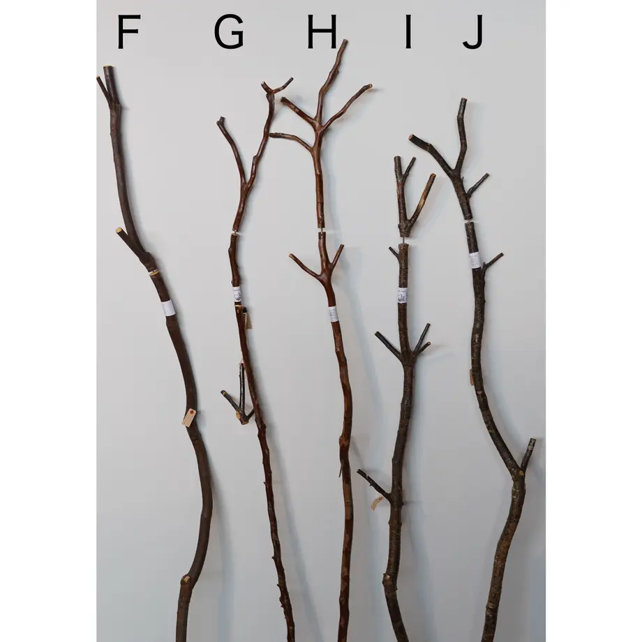5dcbd51f47fb44761f9671e4