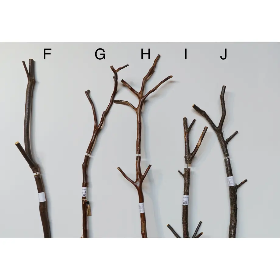5dcbd51f47fb44761f9671e4