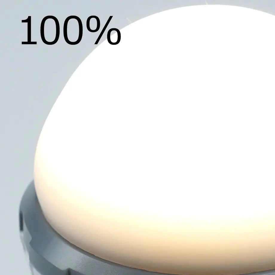 6163a4f3306ad34ec0fd2e8e