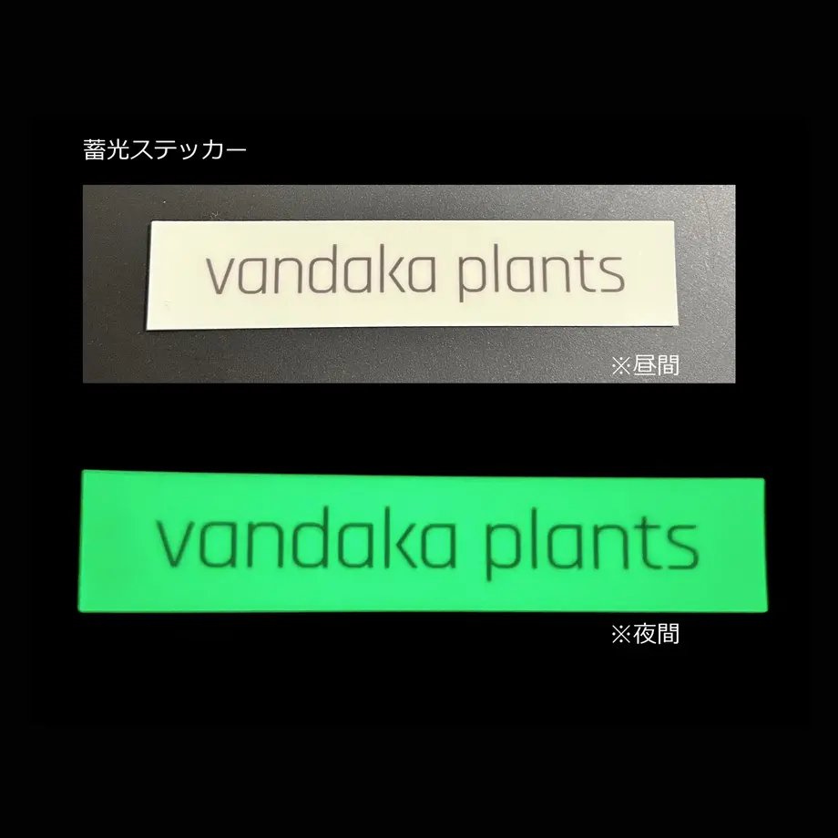 615d4a32edf49f64f0fb86b4