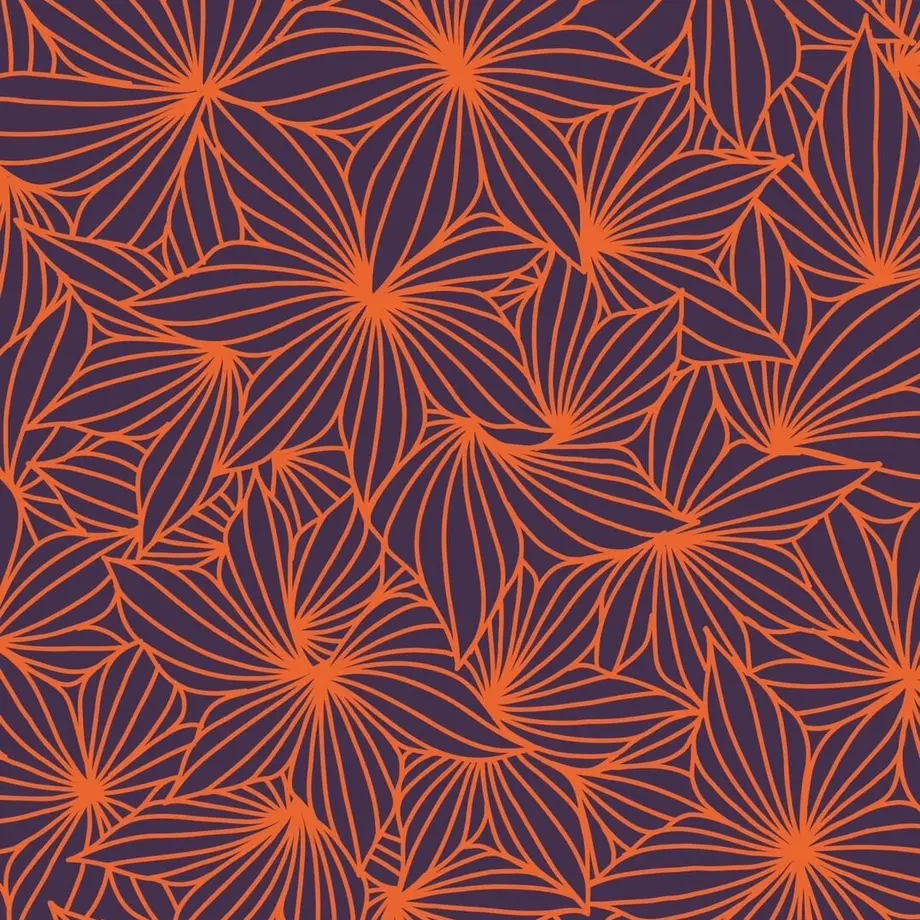 63622c82abc35c56c8fc2242