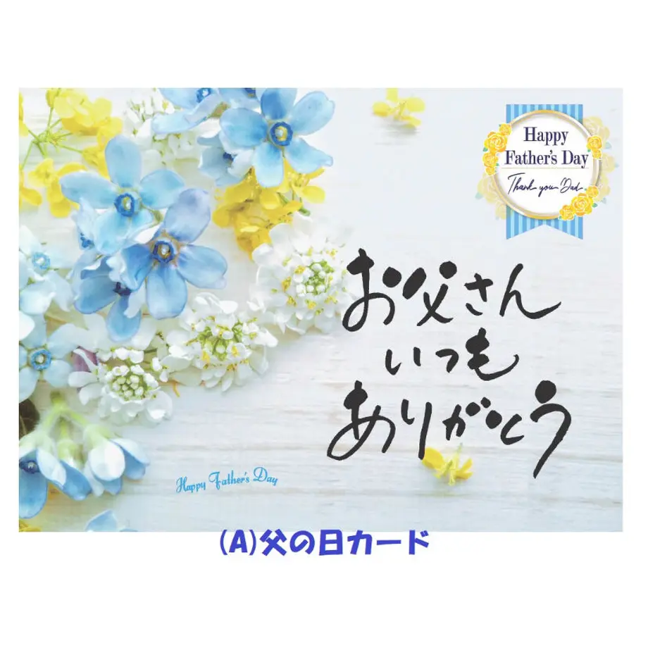 6234094fbfe68b61ed3095e1