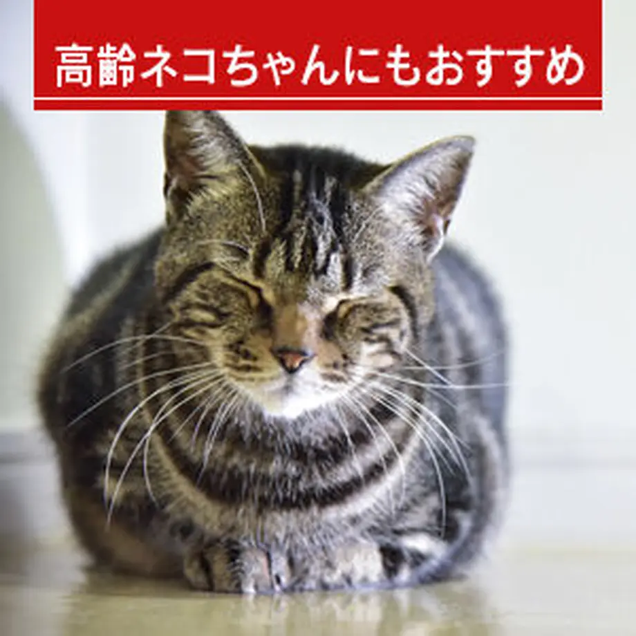 6126f03be494337919649b1e