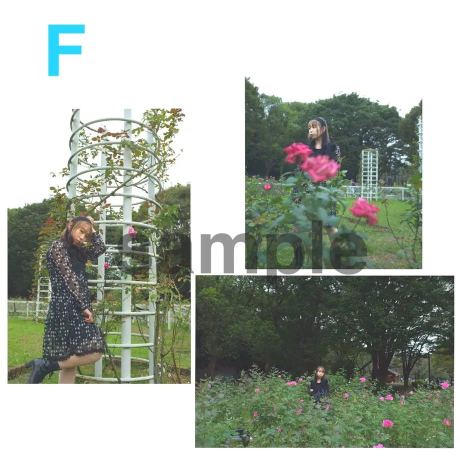 5eb3d4b551576266aafb3621