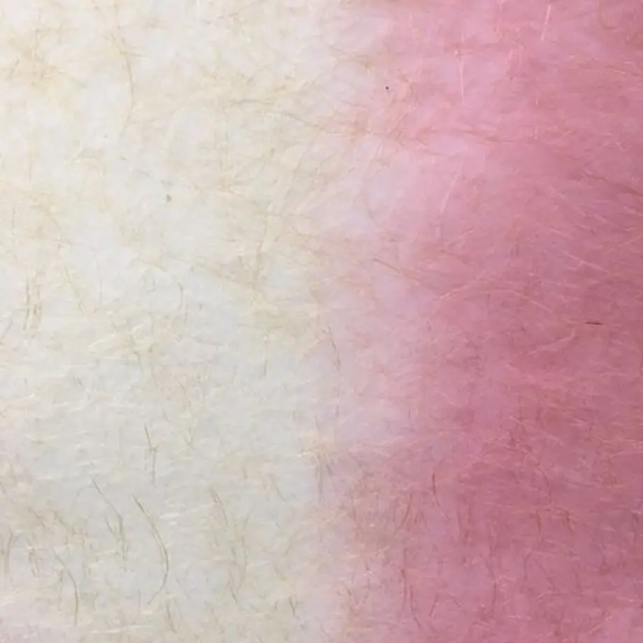 5a3b71d3c8f22c2c2d002b64