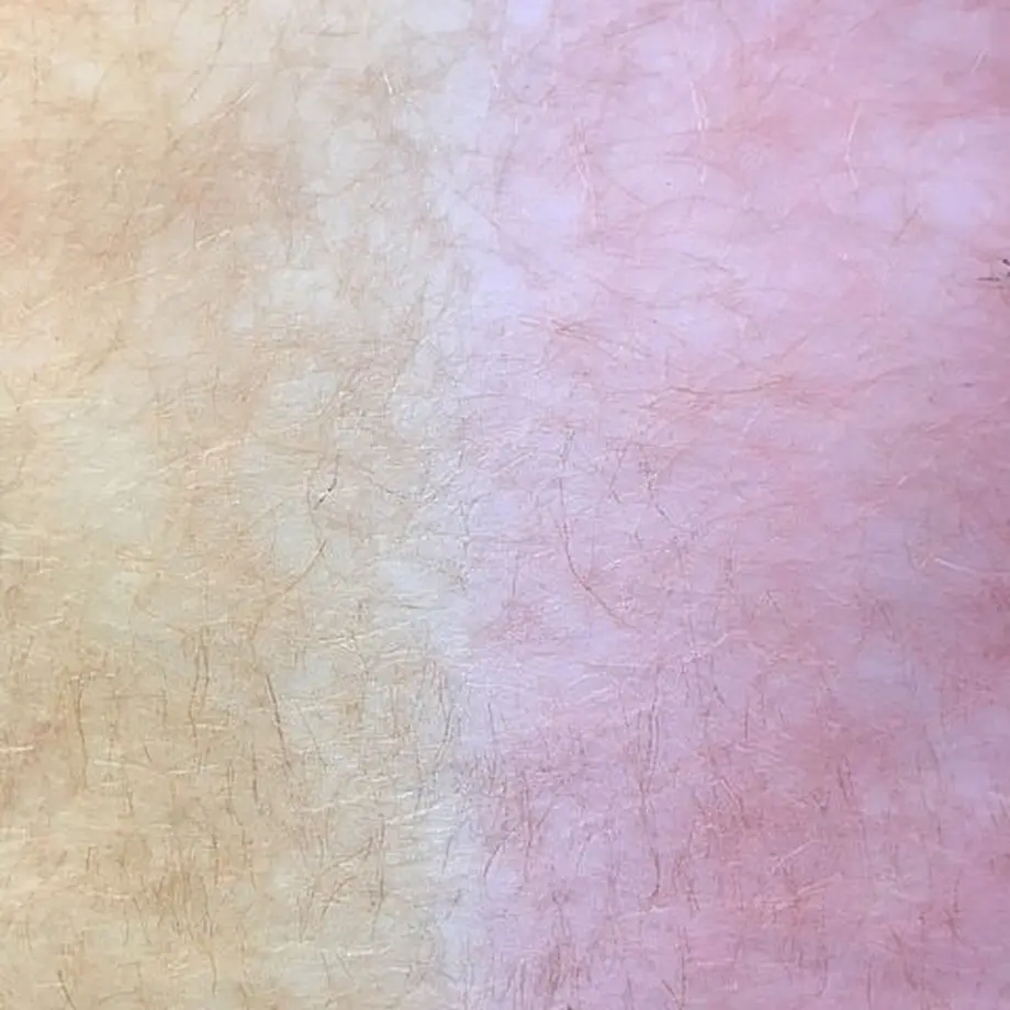 5a3b7173f22a5b032300203e