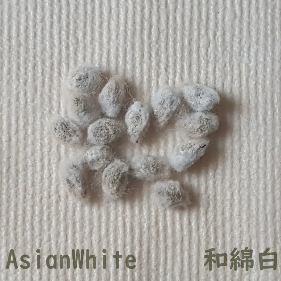 60269c47aaf0432d4132e50a