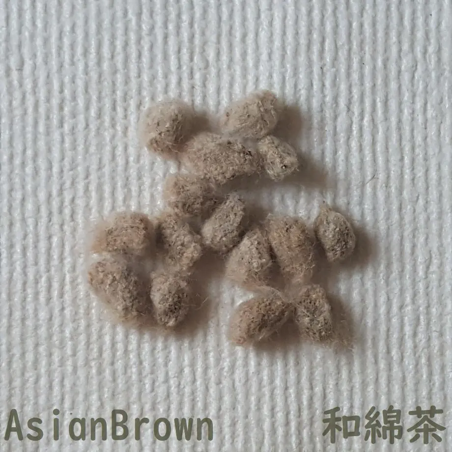 60269c47aaf0432d4132e50a