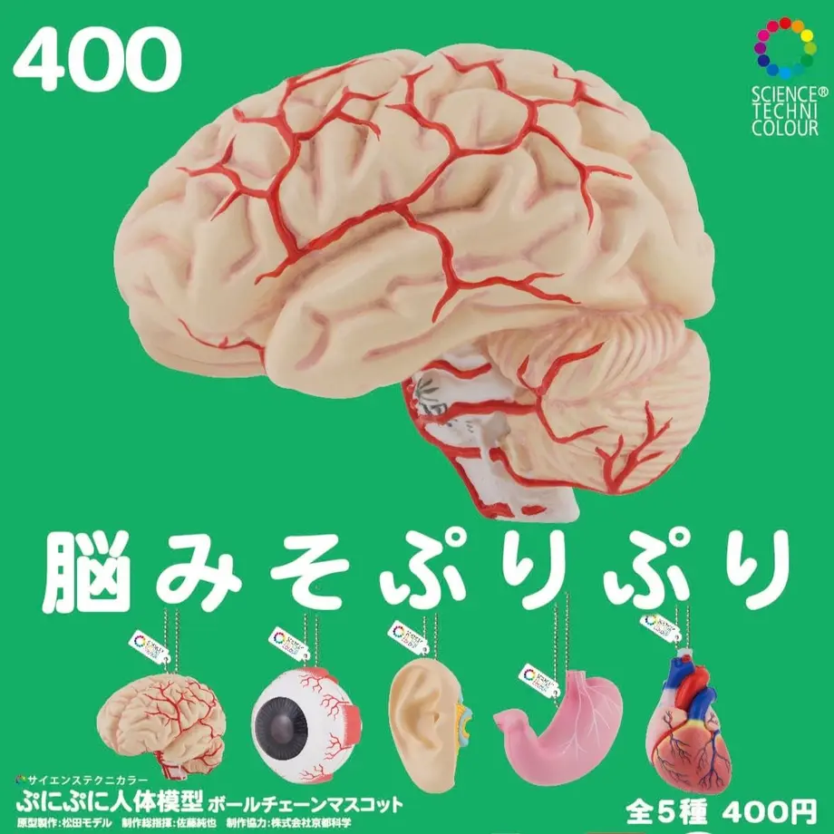 5b3389cb5496ff3ded000394