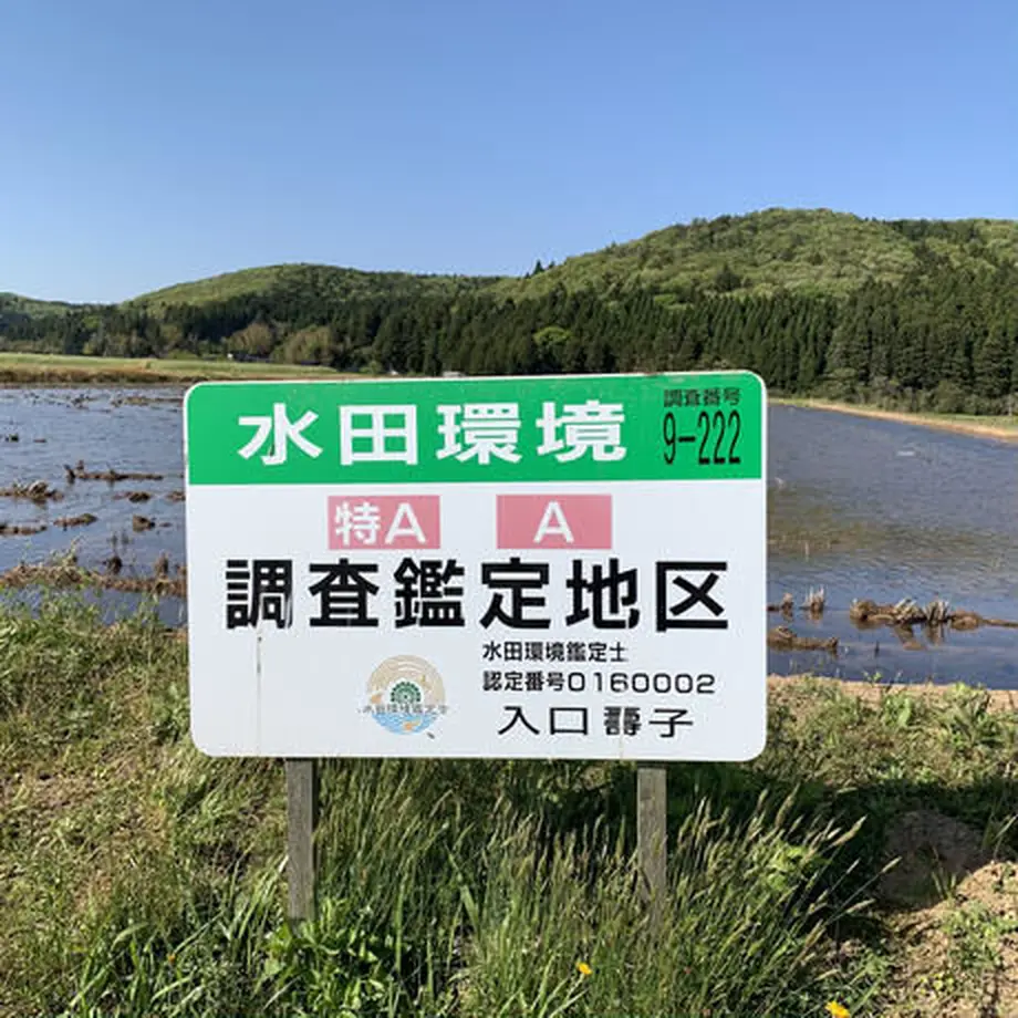 60ab55a60e240317aee21c2e