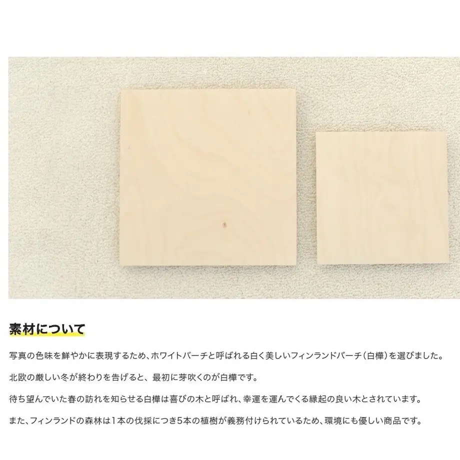 5c5d6a443b6365297fc91a44