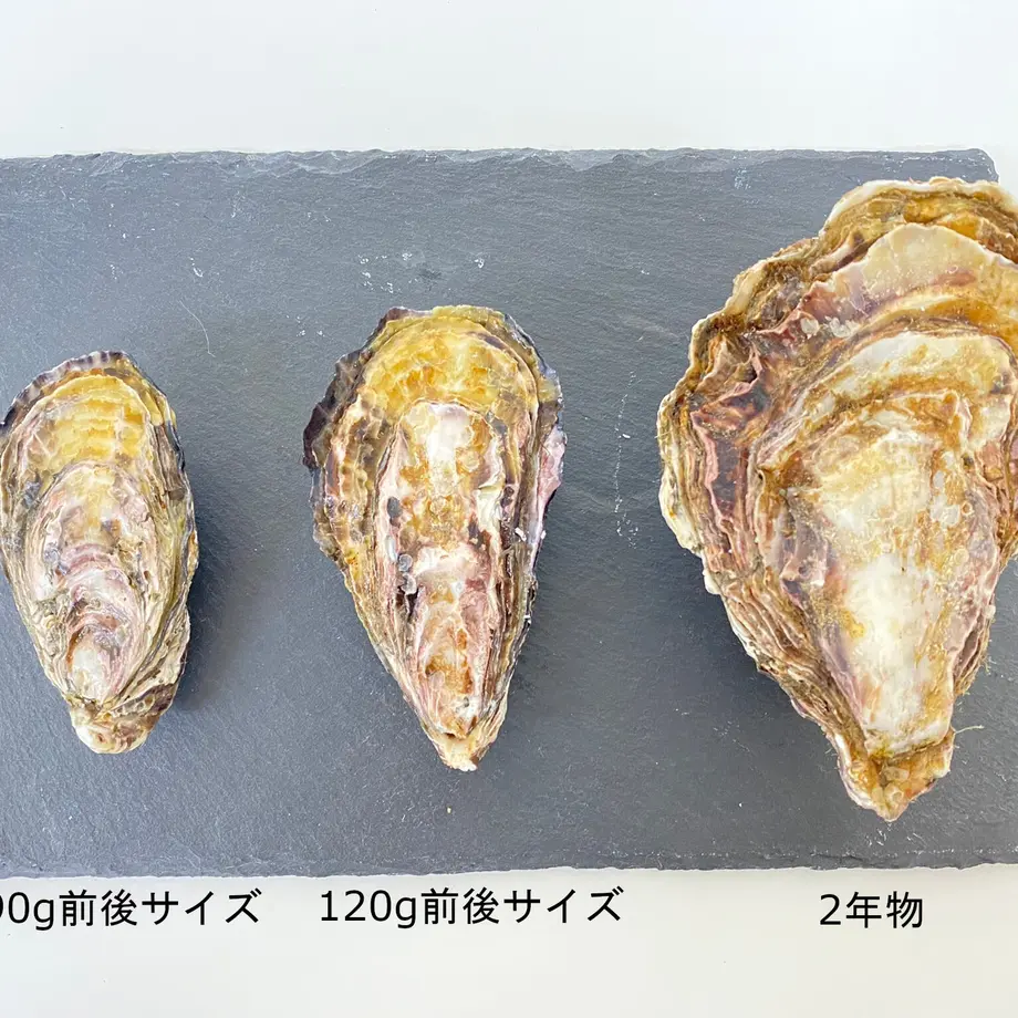622abae730344b5645311fd9