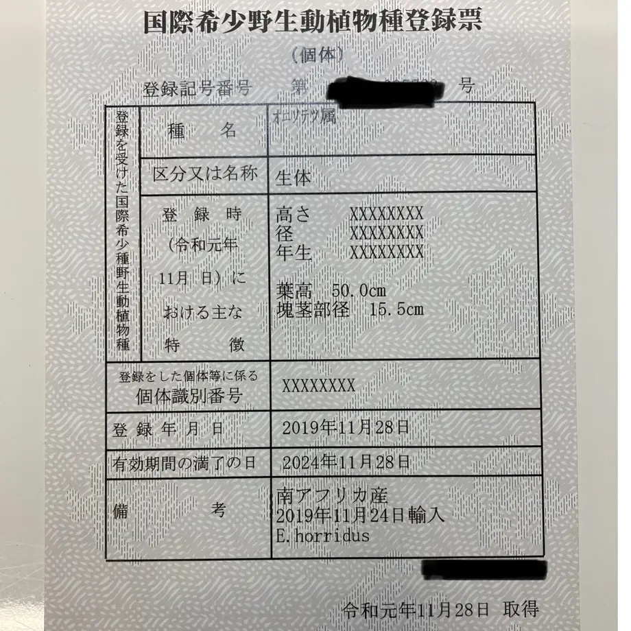 600aa19cc19c4536d29bc323