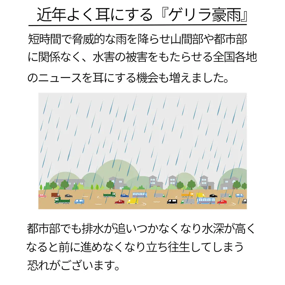 5bfcb802c3976c7f4400036d