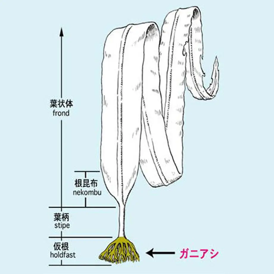 5bc344c2a6e6ee31b5000075