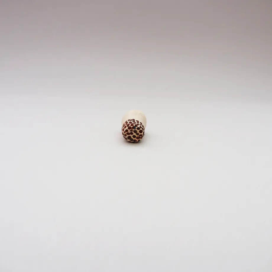 5ee38610561e177c3dbad956