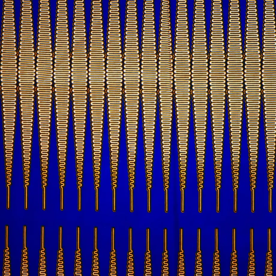 60c08da202a58923e7646b2e