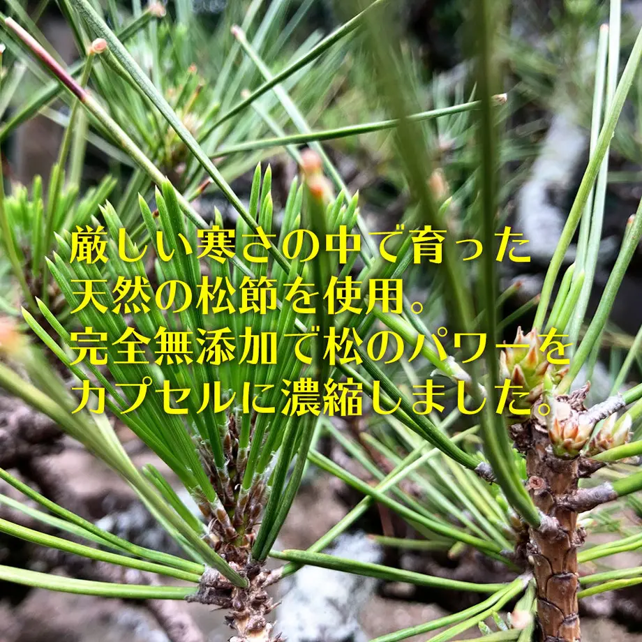 5ebe2d5672b9110349f0b307