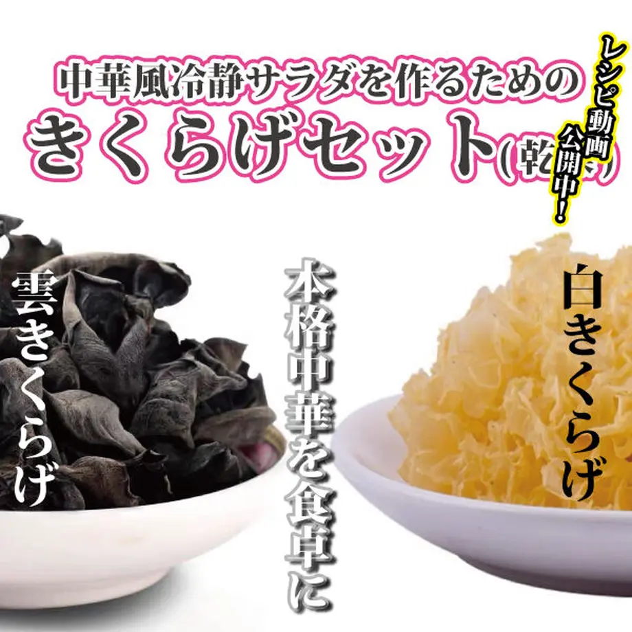 62fe0f4597c2451eba7113c7