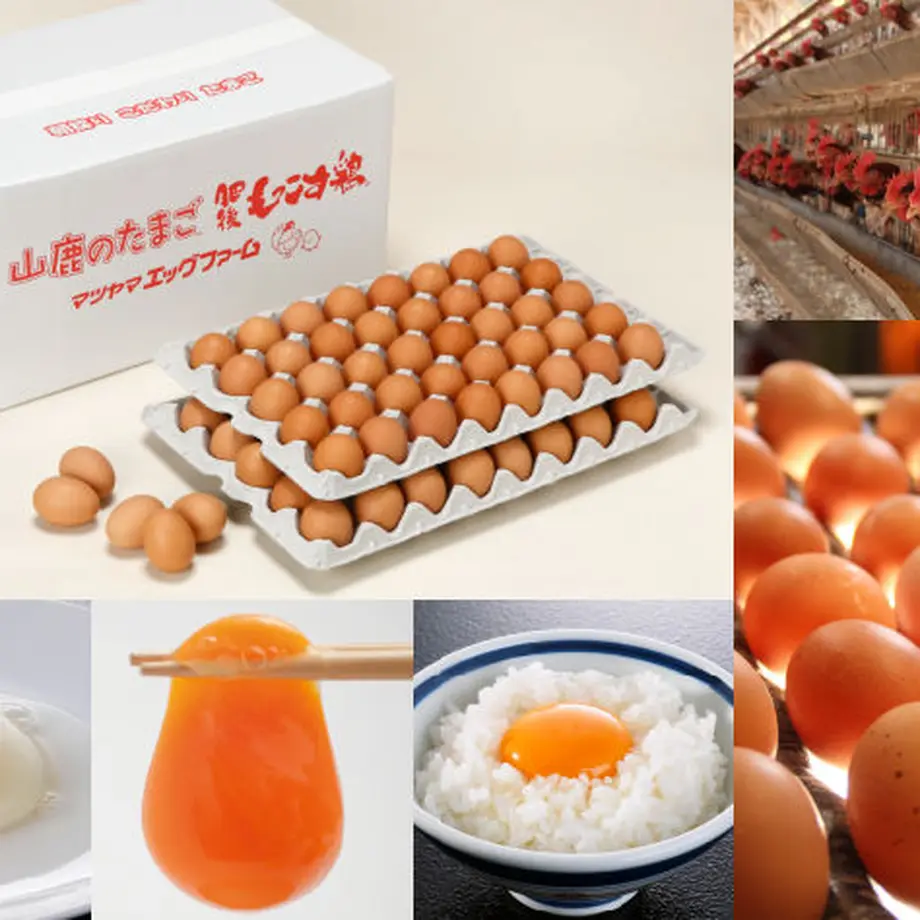 5c8ce40b89c42d7dc95513e1