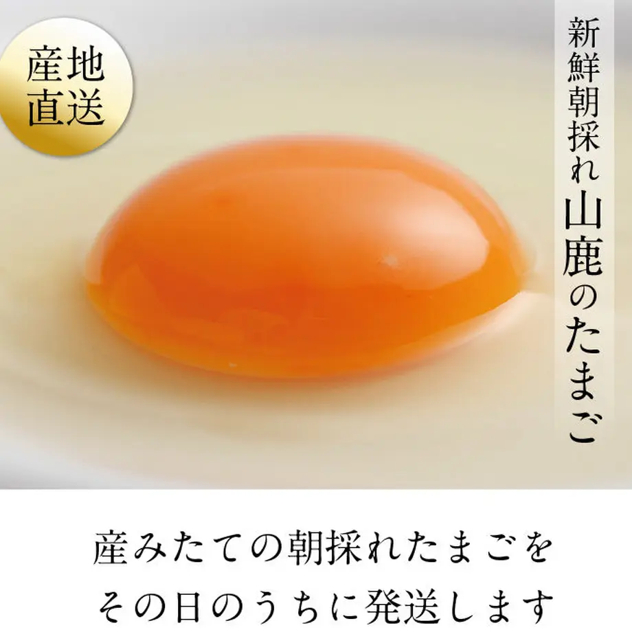 5c8ce40b89c42d7dc95513e1
