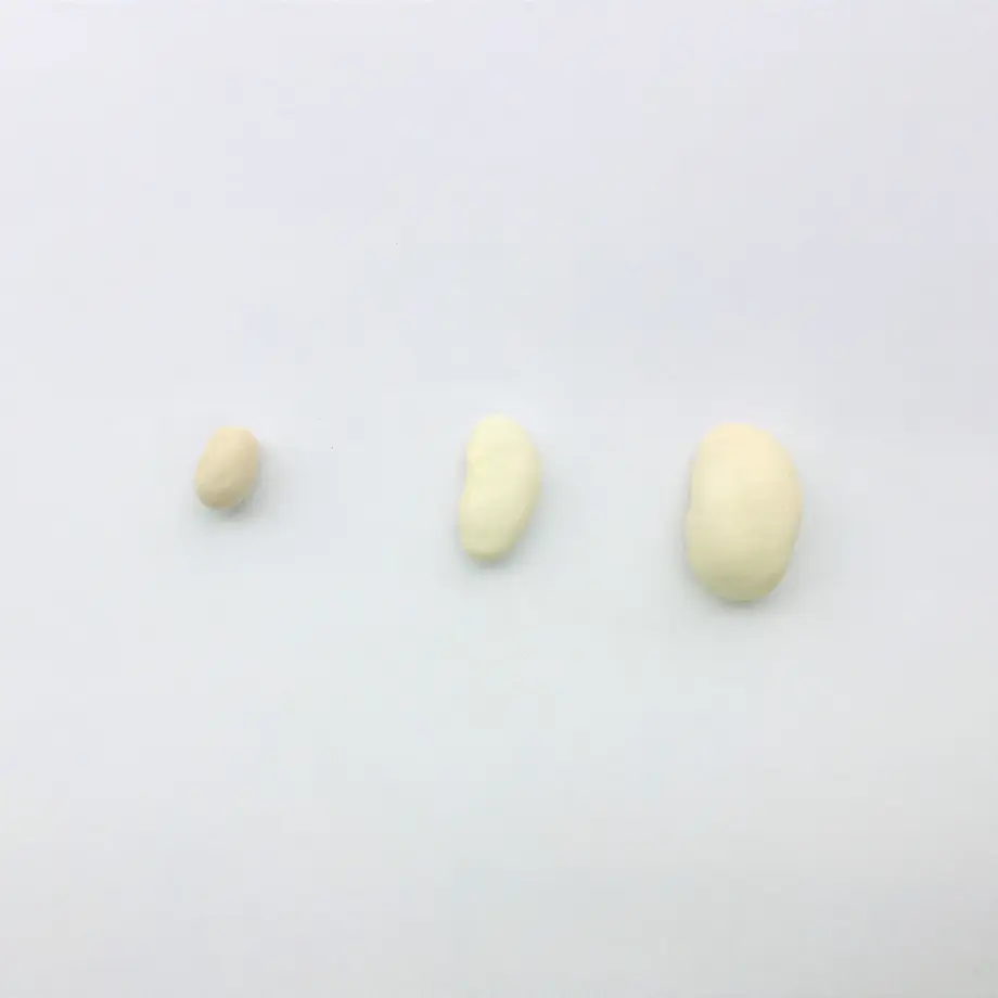 5ec23ecf55fa030e2906ebcd