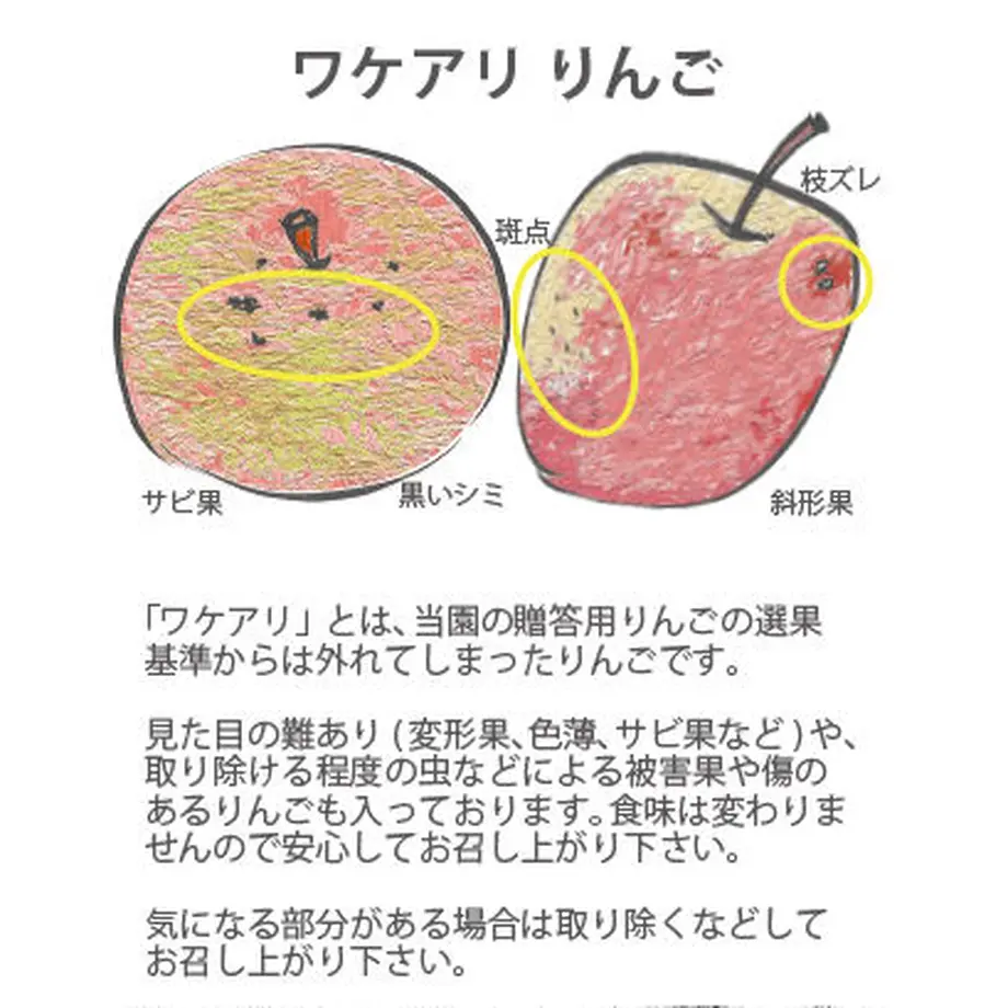 63bf9ab8109089227f4ab893