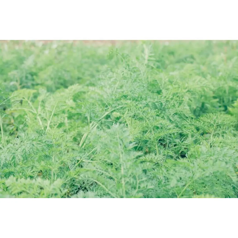 614d27eb2305573b9caccbd7