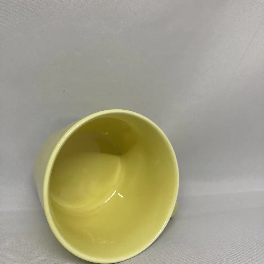 60f6582e21a1666c4651c94e
