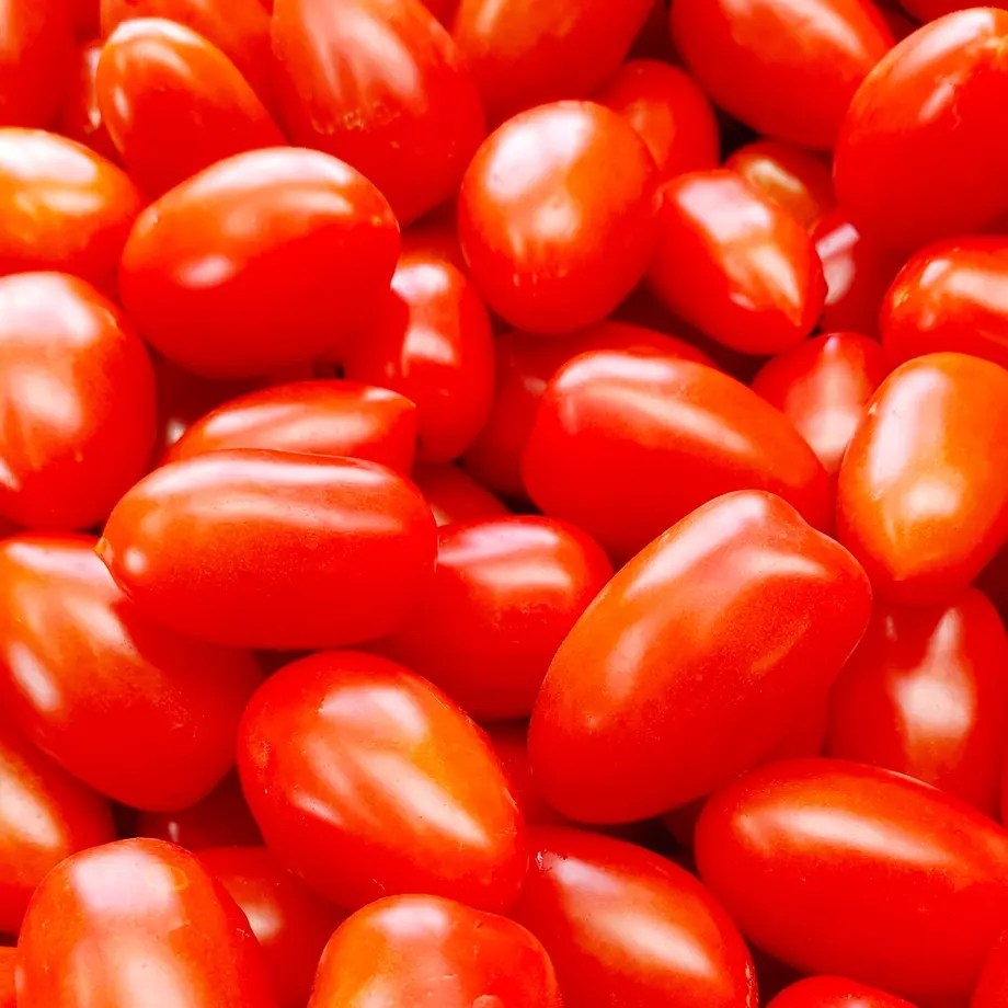 61009d0e05362454931260a8