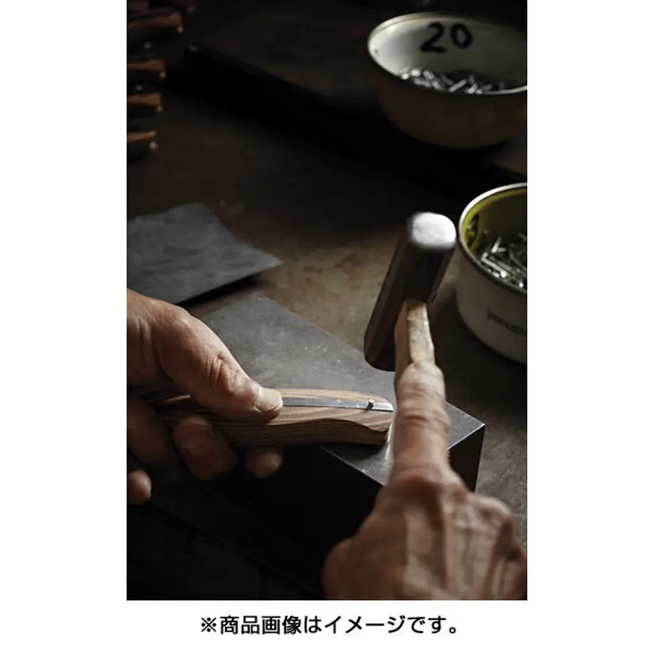 6083c781da019c676fe6e2a8