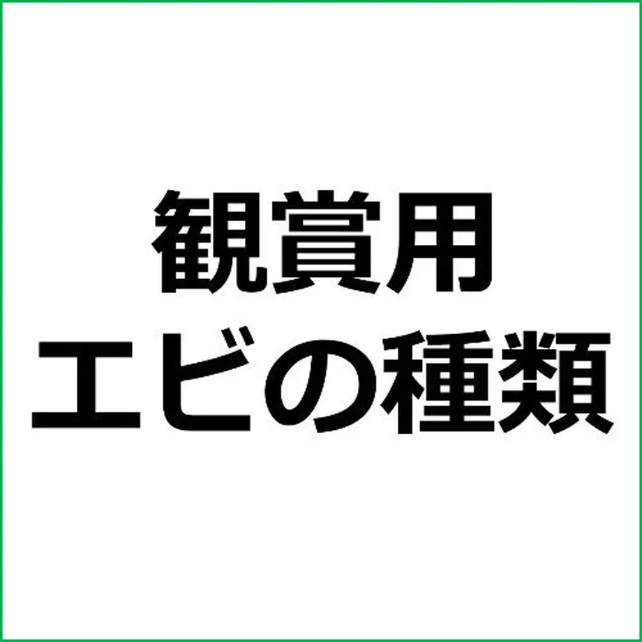 5dee03a3f65aec6ba1c781bb