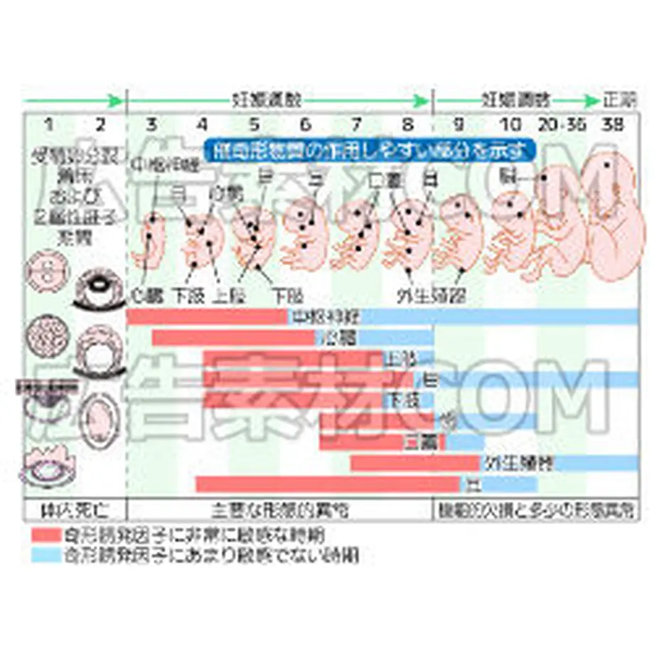 5c6a0c98aee1bb659d23731b
