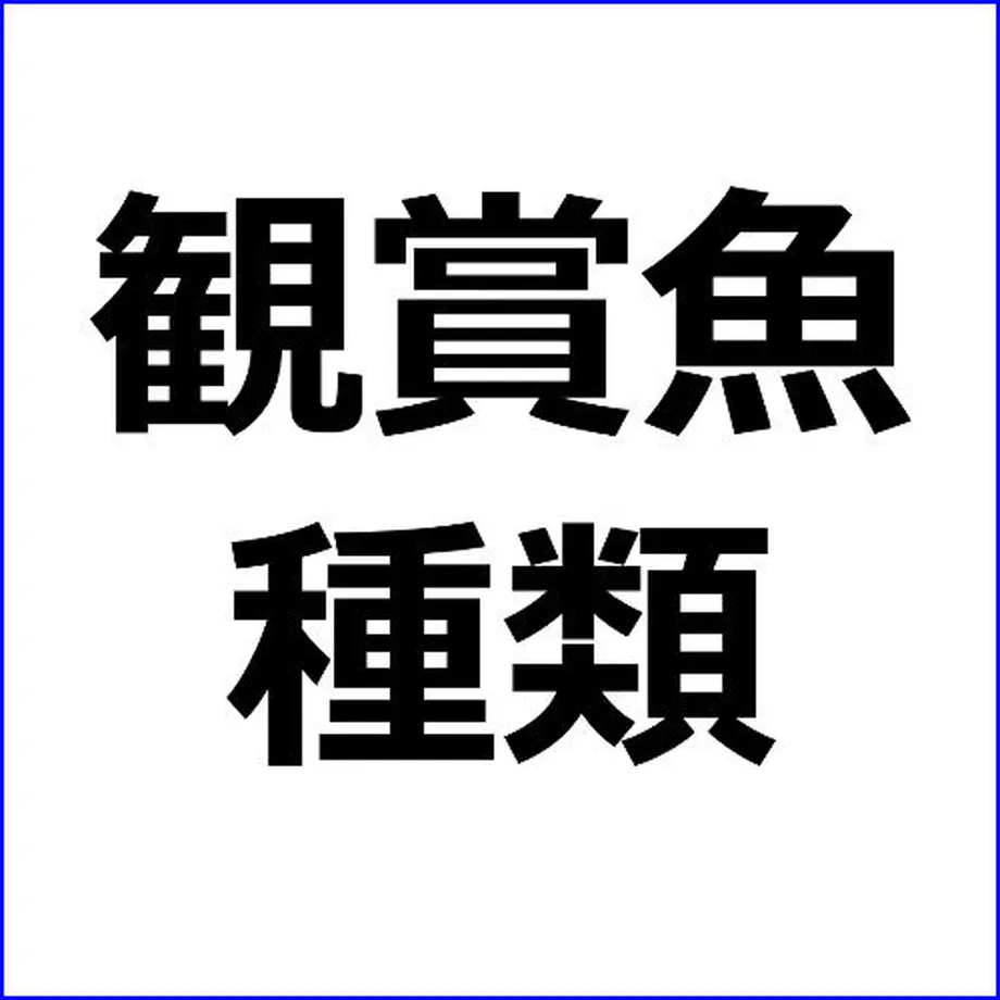 5dd8b09151940c59437fb915