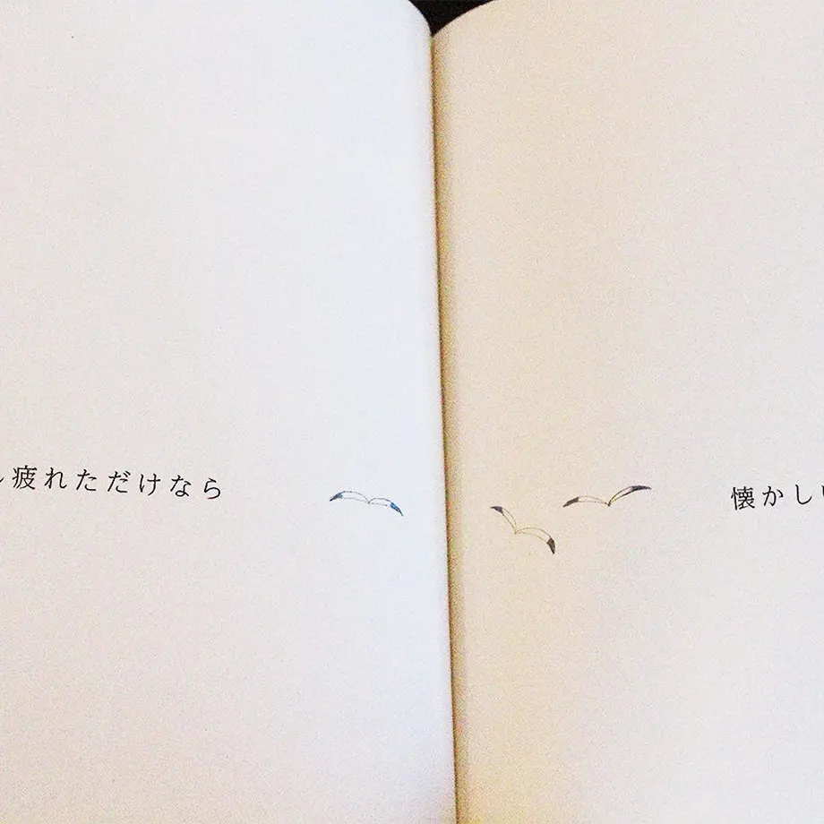 58a269a541f8e842a801b5b5