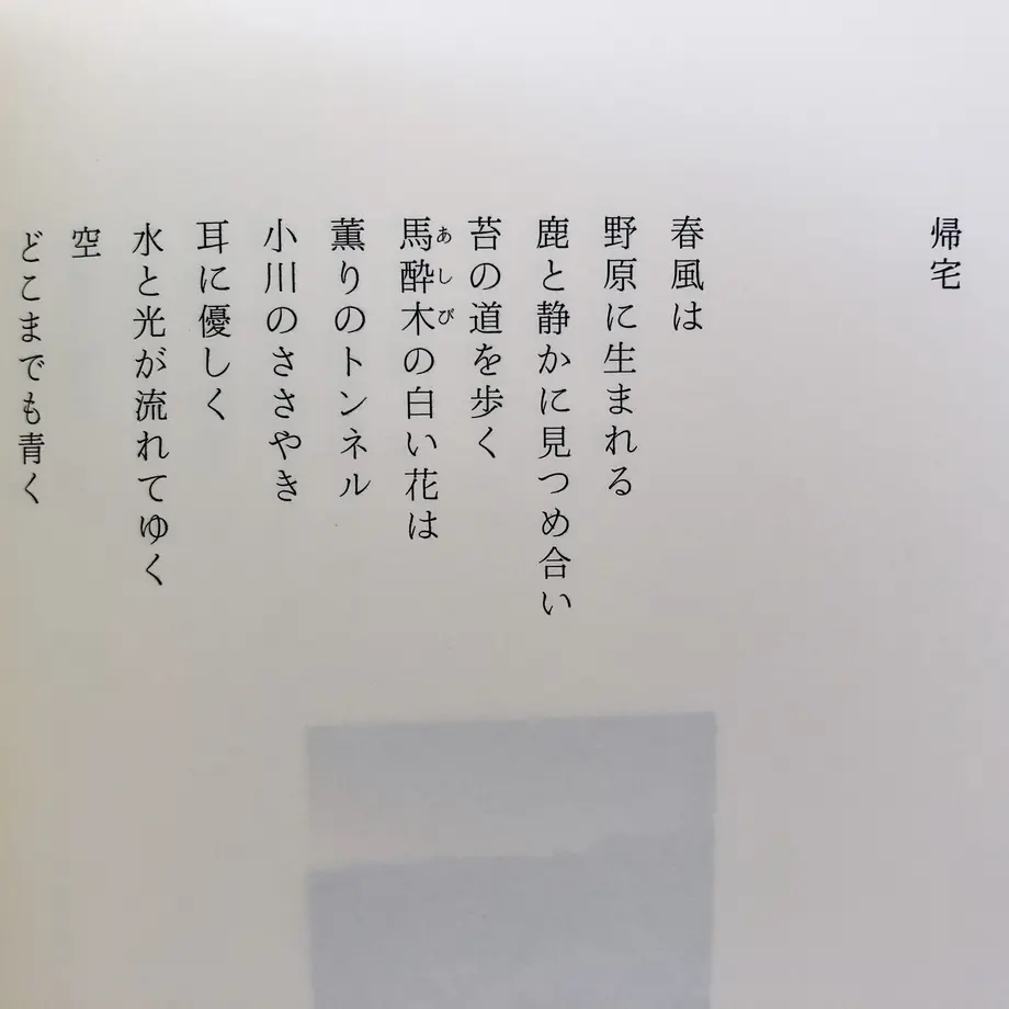 5e89906c9df1632f5efe08b6
