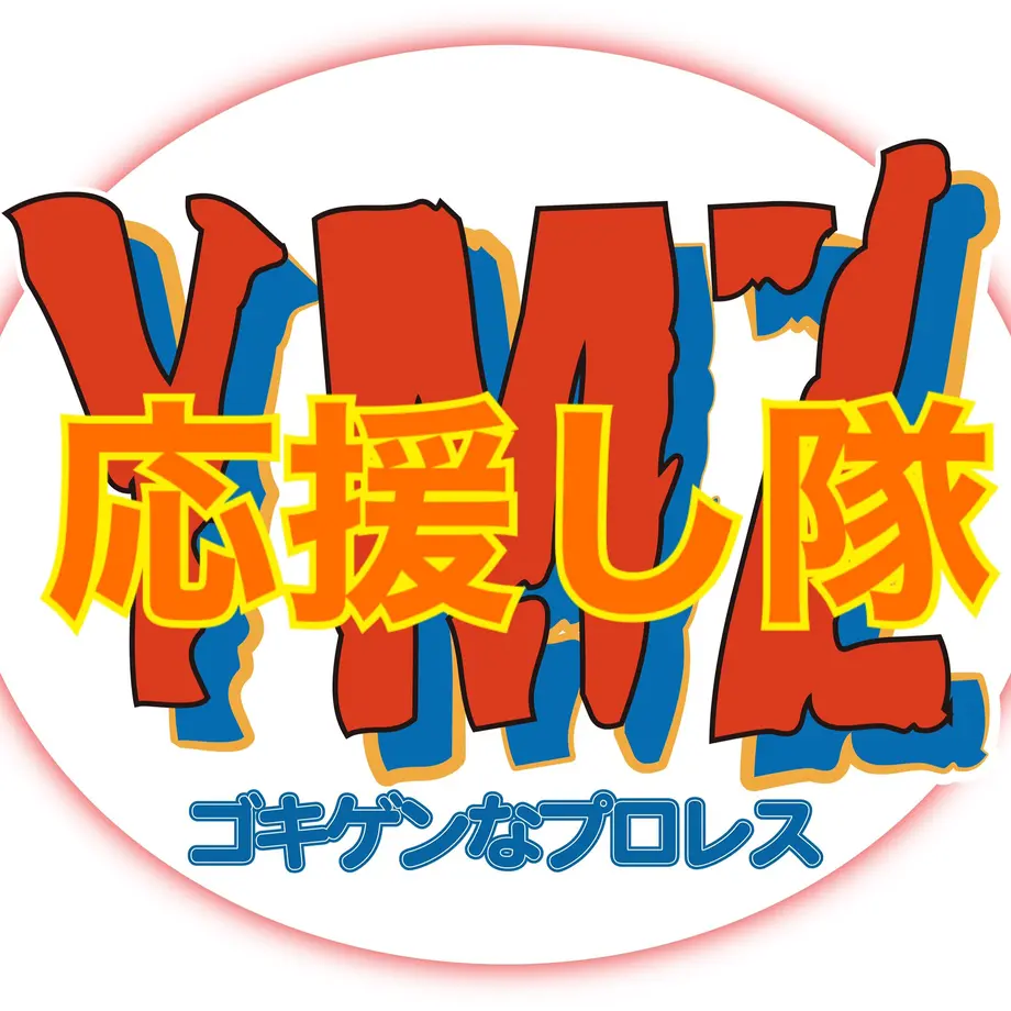5fd0a8b272eb466f973424d3