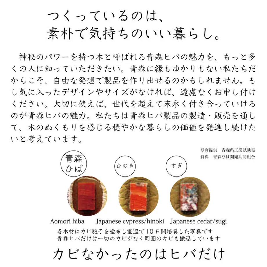 60e747ac561e17430d6a3a36