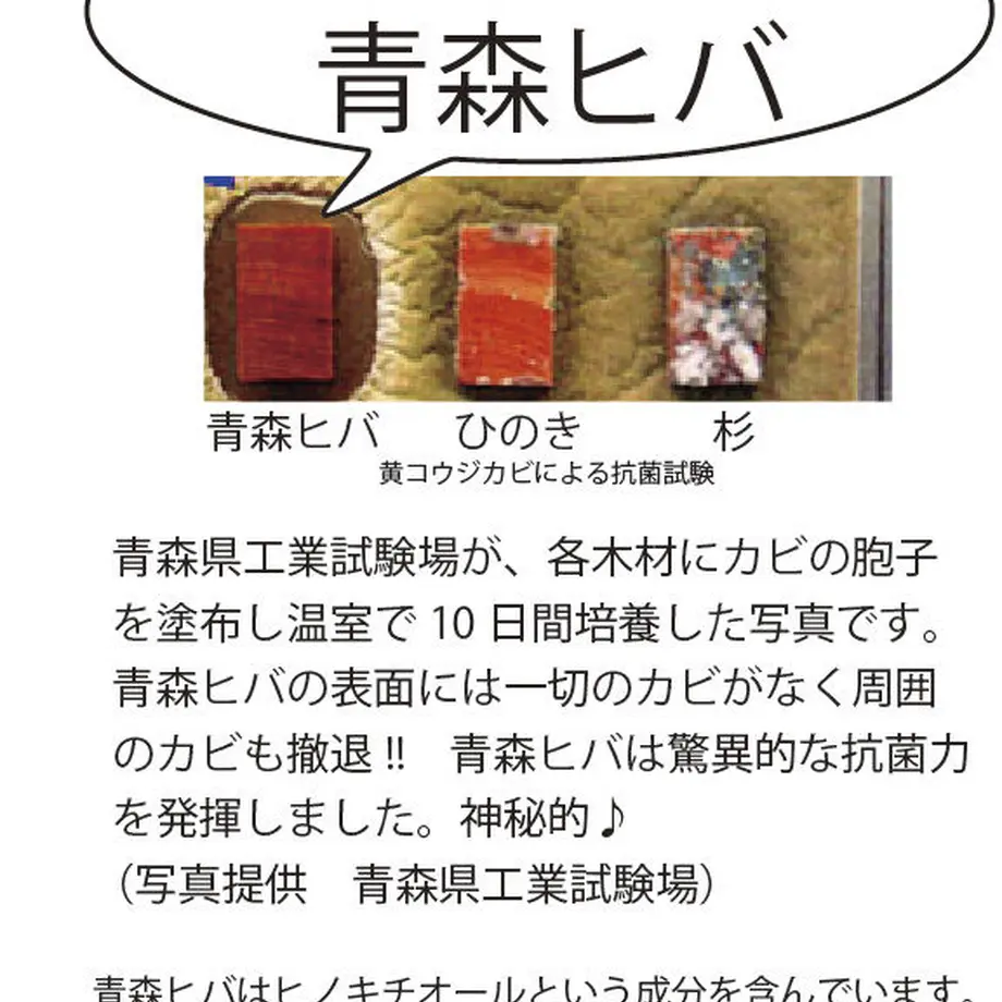 5646bdbdbfe24c74ee0027c4