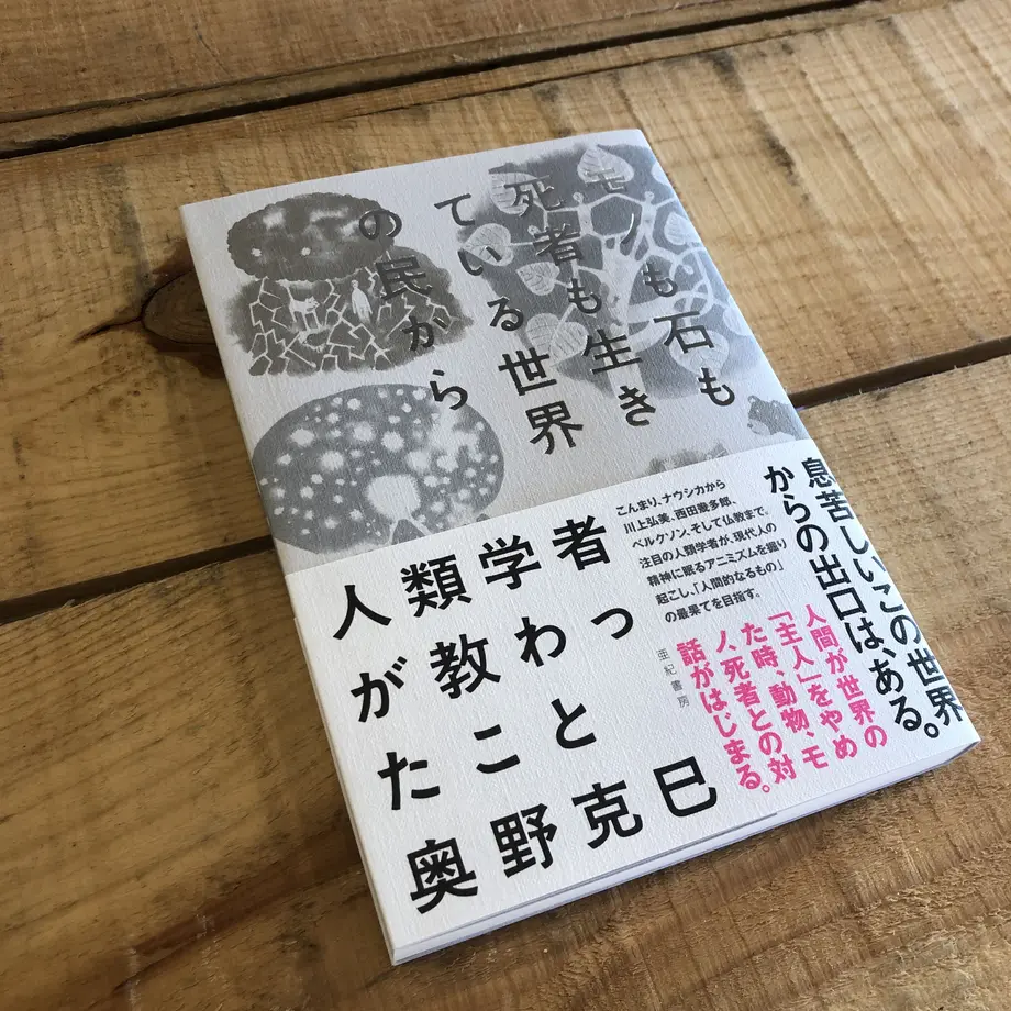 5fe5e881df51594c99ecd50f